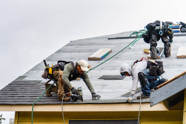 Professional Storm Damage Roof Repair technician working in Franklin, PA